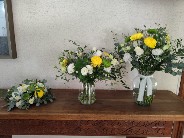 Boda 6